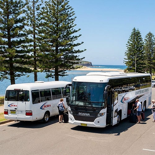 Bus Hire Northern Beaches